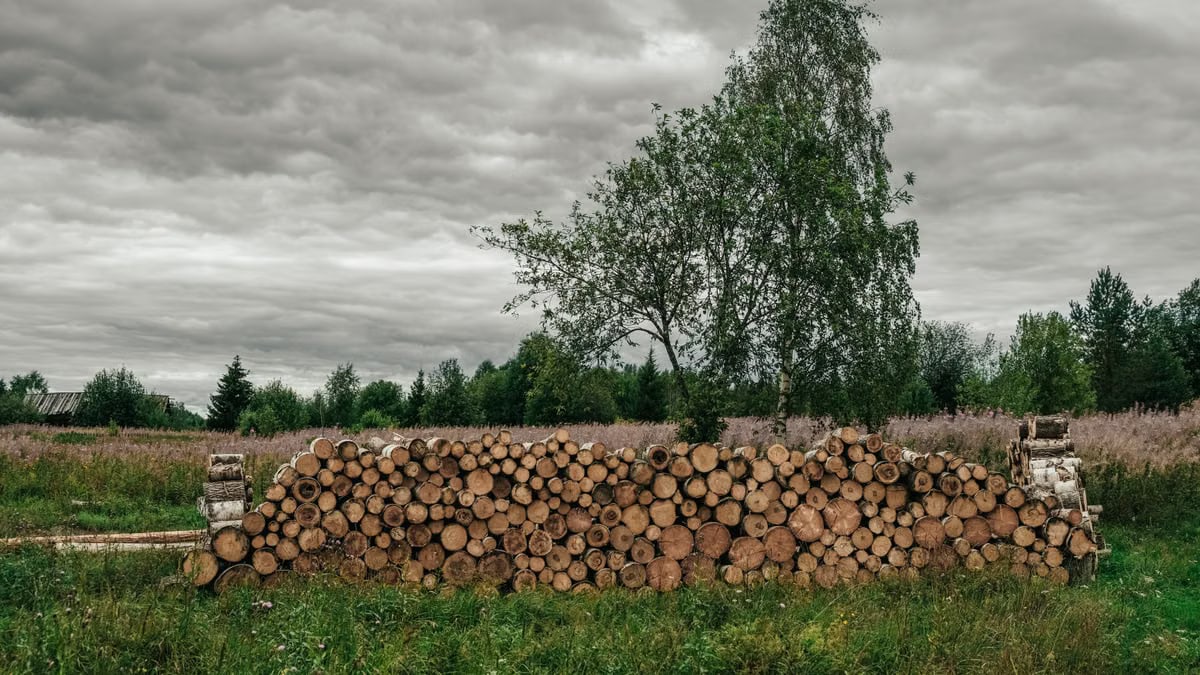 Kuidas luua tasakaalustatud toitumiskava